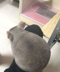 �ڴ��ڴ�(?�B�`�B?)