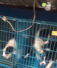 �����ˣ����Է���ȥ�¼���