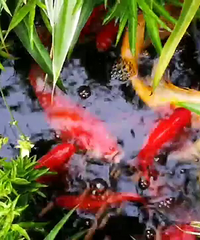 ��һ���ᶯ�ġ�