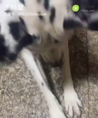 רҵץ���100�꣬���С���֣����������������⣡