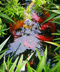 ��һ���ᶯ�ġ�