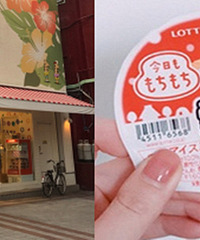 网红雷区别踩啦!冲绳亲子游第二弹来袭