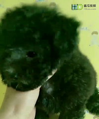 ��Ǳ��̩�����¼�