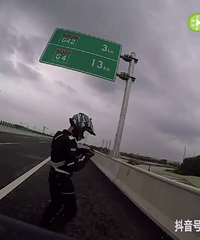 ȥ�� ����������