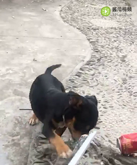 ϲ������ϵ