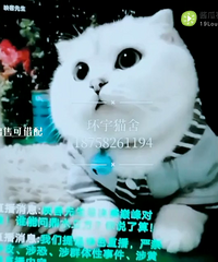 ˭��ȱƷ��˧�Ը�õ�è��ү��