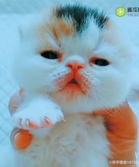 519�����ķ�������Ʒ�ʼӷ�