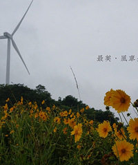 最美网红风车公路,雨中雾中打卡