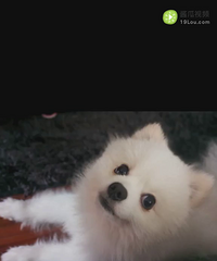 ������㷢��