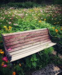 �������ã�·����԰���ٻ�����ing������ �簲?