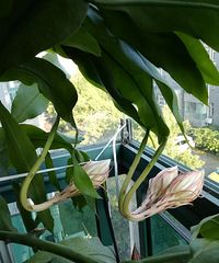 �ҵ�꼻�����Ҫ����