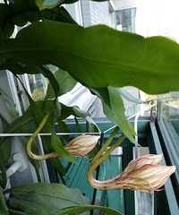 �ҵ�꼻�����Ҫ����