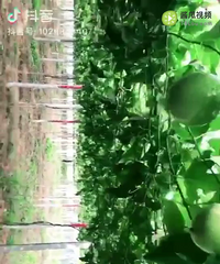 �����ǰ����