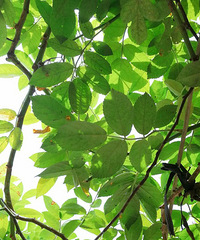 �ϰֵĻ�԰���ҾͲ�˵ʲô��