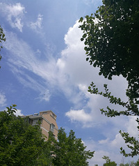 ��յ���ɫ̫Ư�������ܲ��ġ���