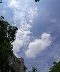 ��յ���ɫ̫Ư�������ܲ��ġ���