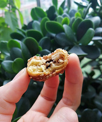 红糖小酥饼