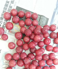 6.17家常菜