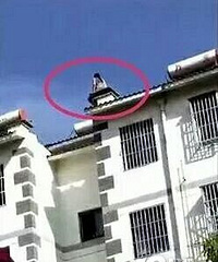 女主播直播跳楼!感情危机