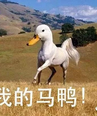 �ַ�����