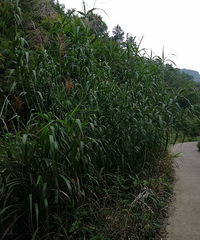 【九张图】打卡+美景