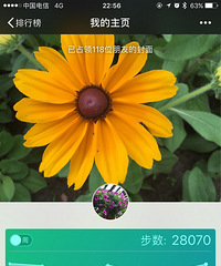 【九张图】打卡+美景!