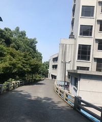 打卡九张图+美景