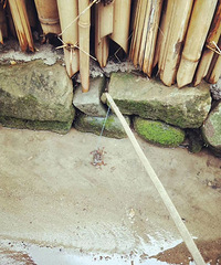 ��Լ����������