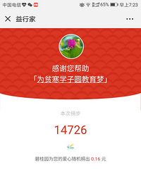 晒步打卡十荷花