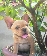 ����ţţ���¼�