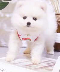 2���¿���ܵ�