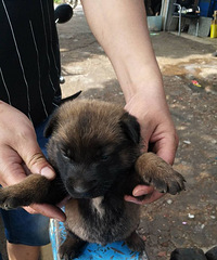 ��������Ȯһ��