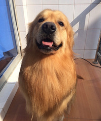 С��ë