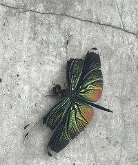 ����·��