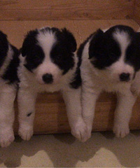 �����߾�����Ȯ��ϲ����˽��