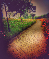 ����־��day2