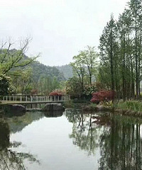 杭州买房落户摇号群