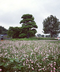 �������䣬��������