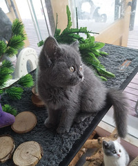 ��è�����������հ�