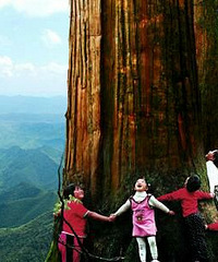 避暑胜地西天目忆景农家