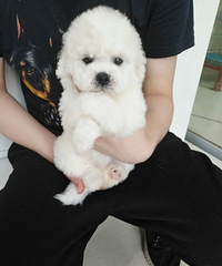 ���������������