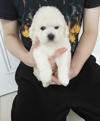 ���������������