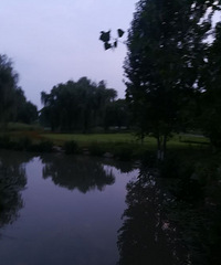 ҹ�����빫��