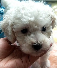 ̩�ϱ������¼�