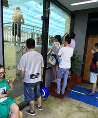 ��ʵ����Ҳ����ѧ��Ӿ