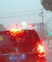 ����վ�ڣ��������������