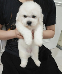 ���������������