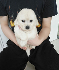 ���������������