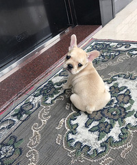 С���ͷ���