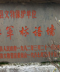千岛湖下姜村考察学习